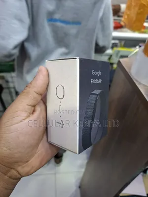 Google Fitbit Air