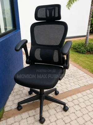 Luxury Ergonomic Design Chair