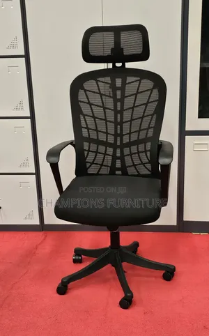 Ergonomic Office Chair With Web Design