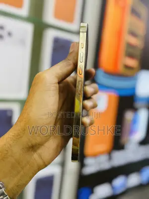 Apple iPhone 13 Pro Max 256 GB Gold