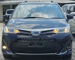 Toyota Corolla Fielder 2019 Black
