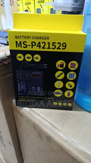 MS-P421529 Multi-Slot Universal Battery Charger