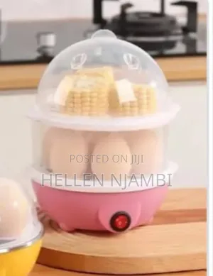 Double Layer Electric Eggs Boiler Cooker Steamer