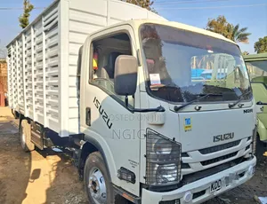 NQR Isuzu Truck