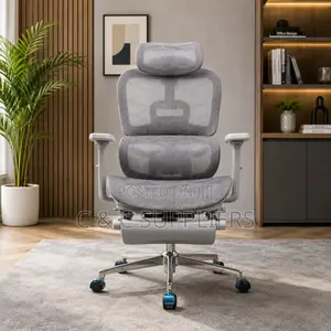 Adjustable White Mesh Ergonomic Seat