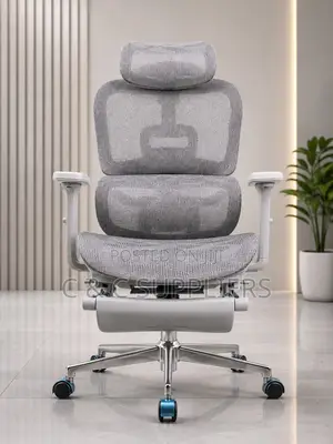 Adjustable White Mesh Ergonomic Seat
