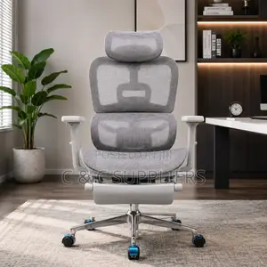 Adjustable White Mesh Ergonomic Seat