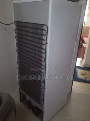 Rantons Rf238 2 Door Direct Cool Refrigerator 173L