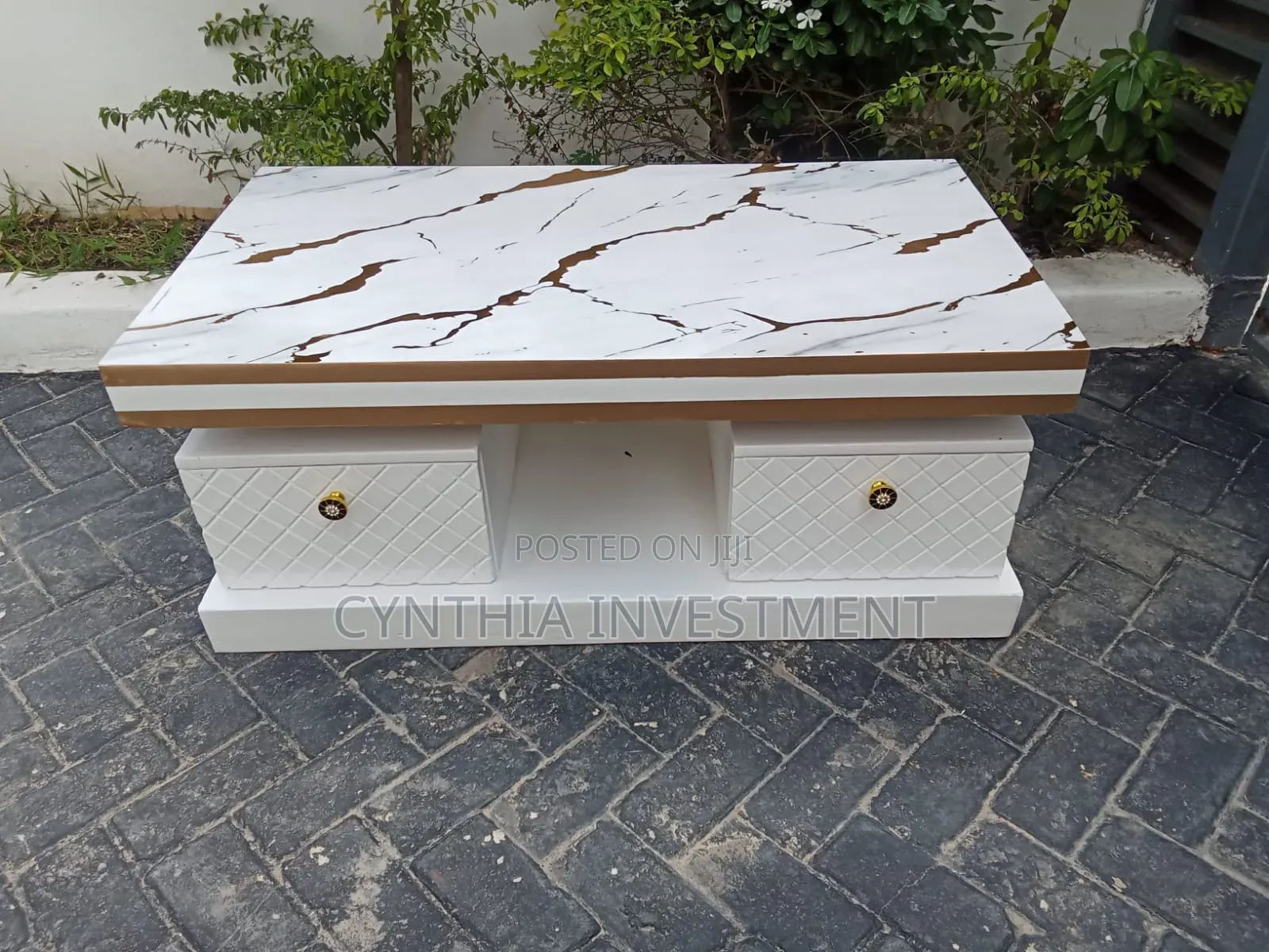 Modern Classy Coffee Table