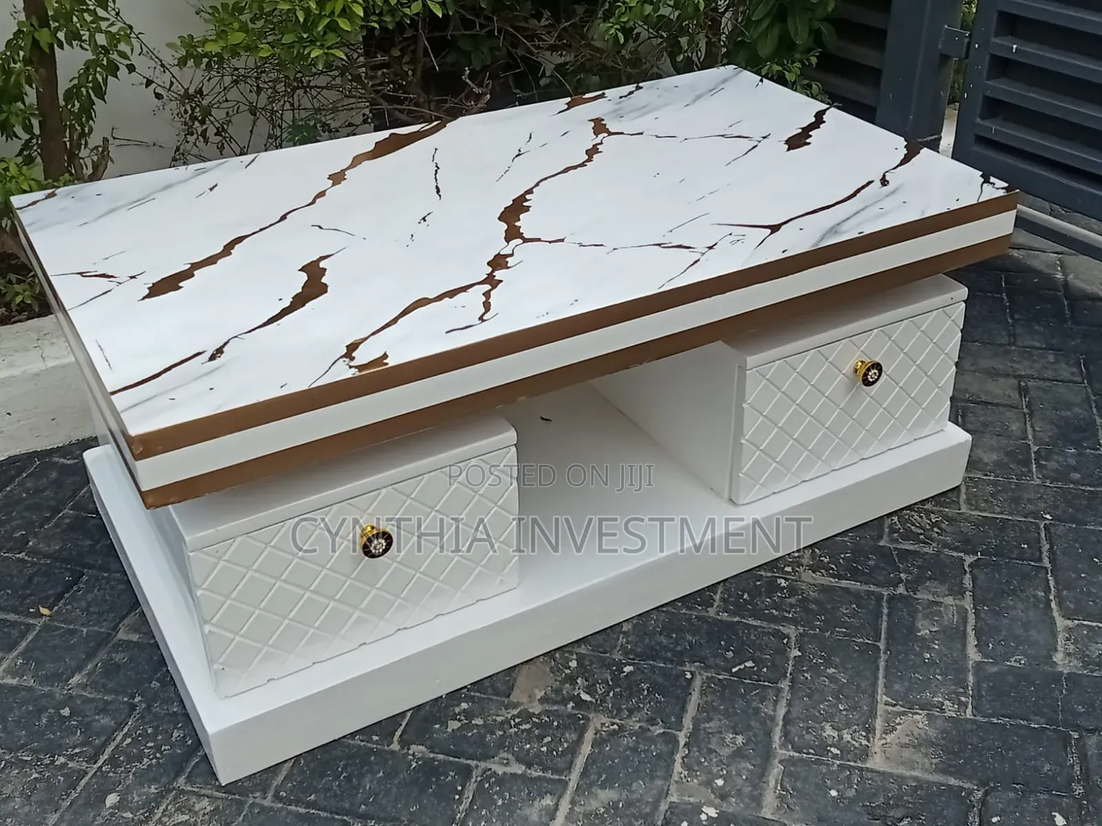 Modern Classy Coffee Table