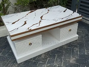 Modern Classy Coffee Table