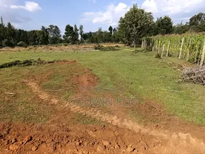Prime Plots for Sale in Kapsaret Eldoret.