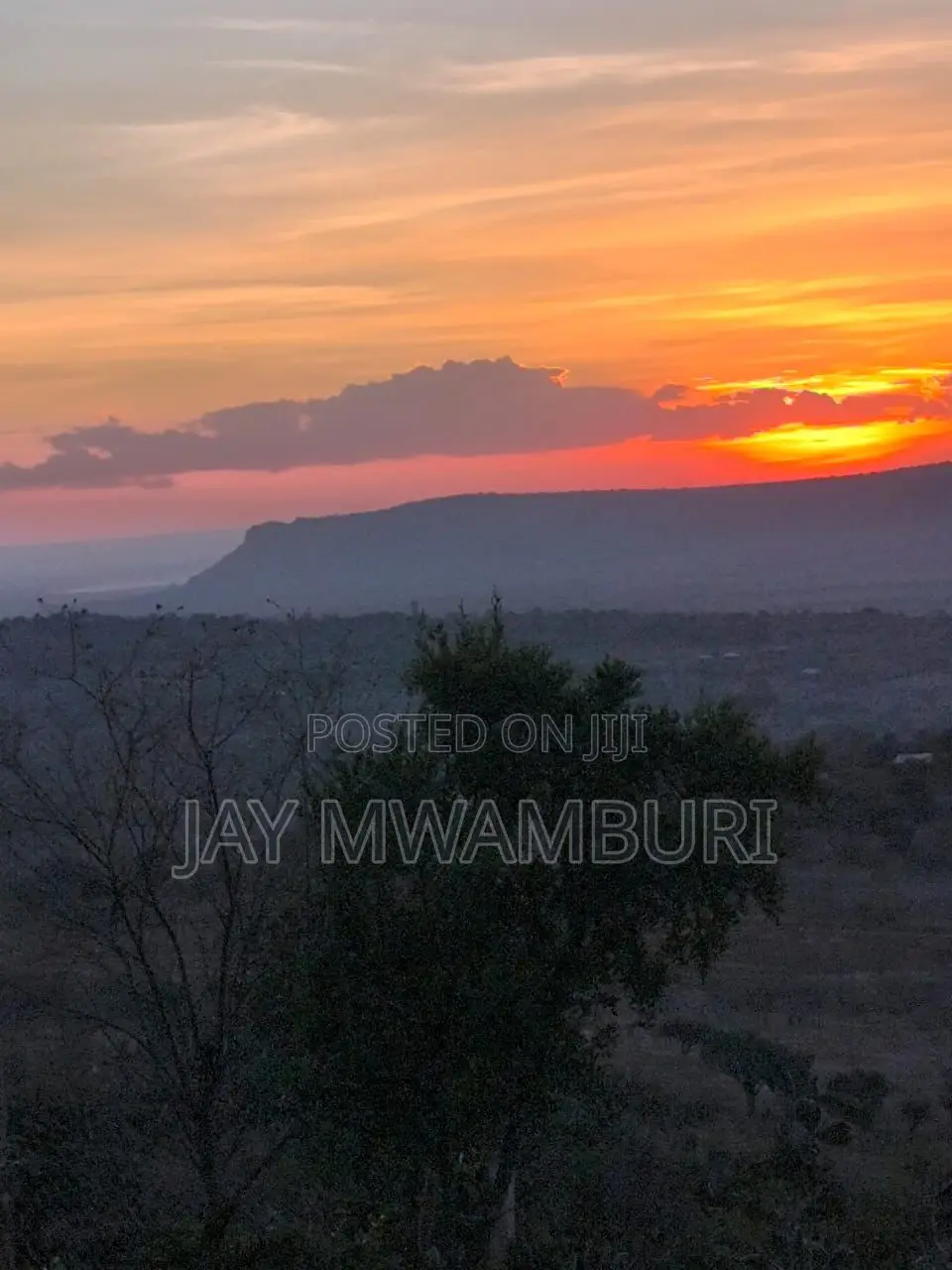 1/2 Acre Mua Hills