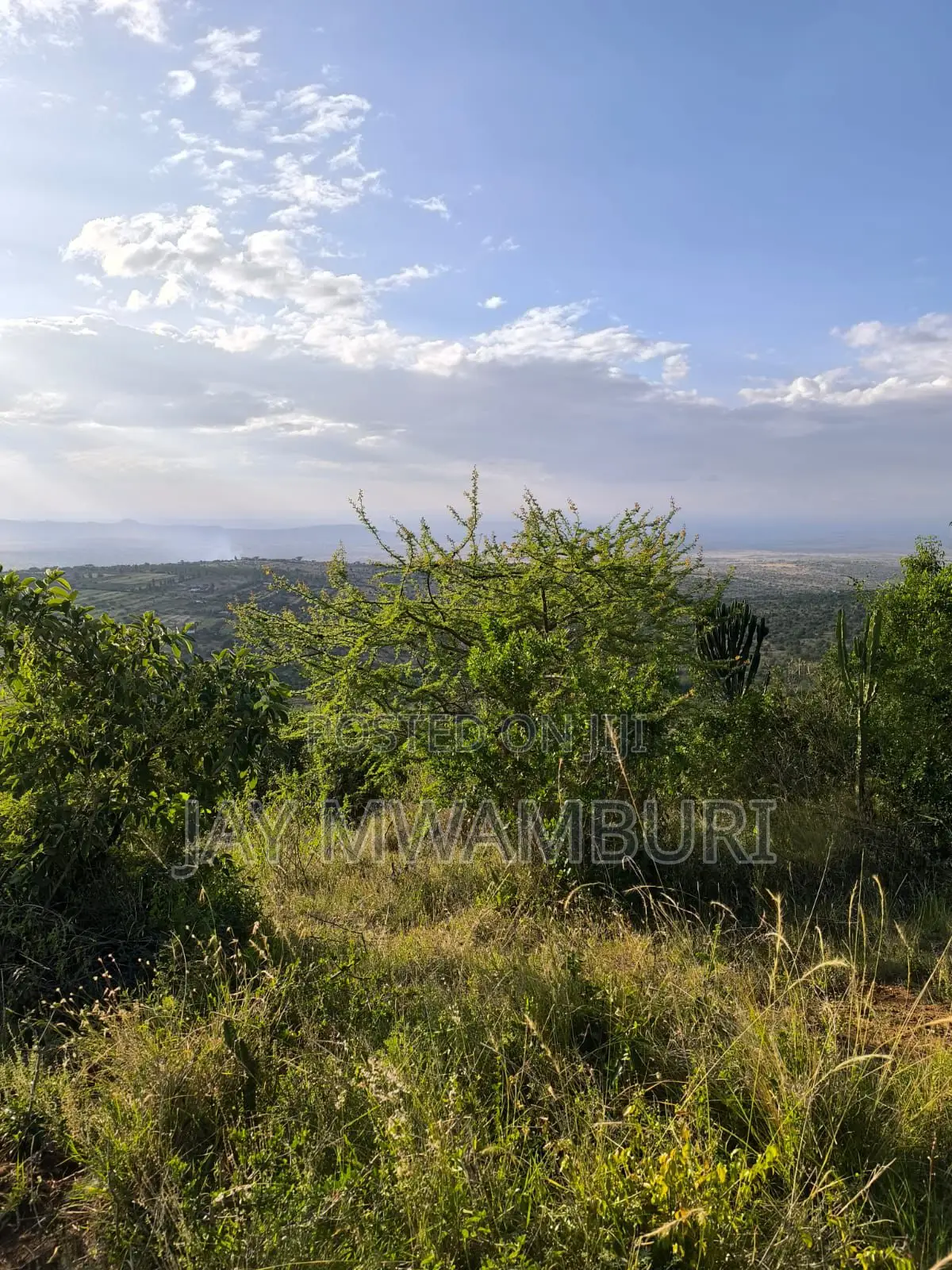 1/2 Acre Mua Hills