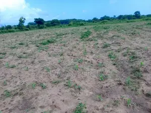 Prime 5 Acres for Sale _ Mnarani Kilifi