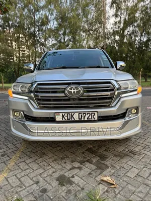 Toyota Land Cruiser 2010 Silver