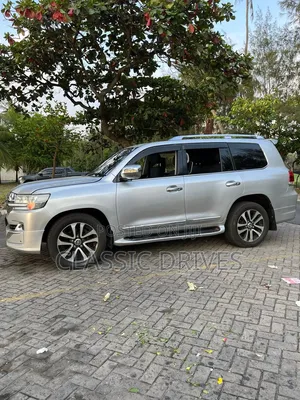 Toyota Land Cruiser 2010 Silver