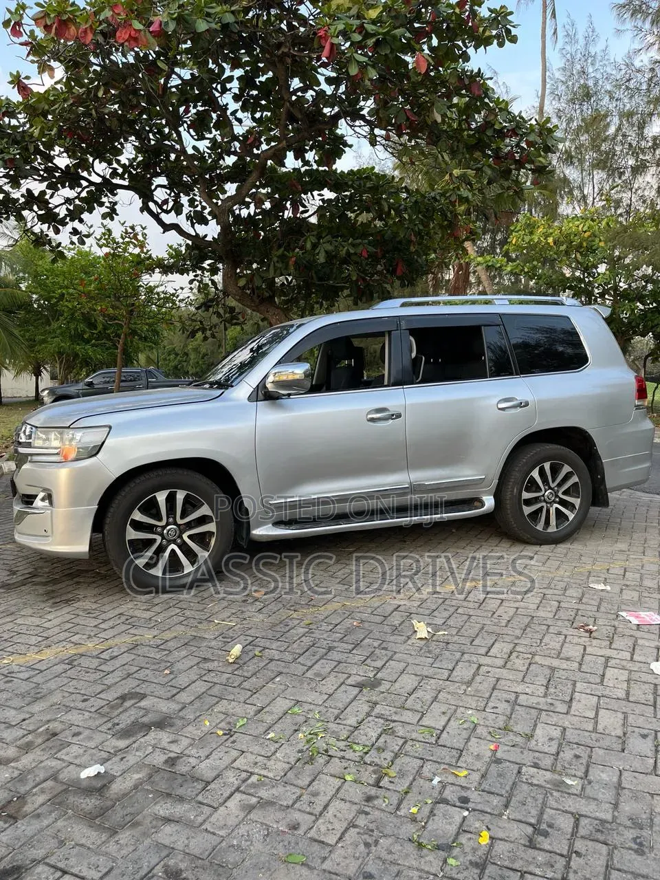 Toyota Land Cruiser 2010 Silver