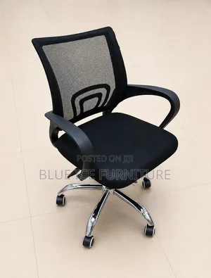 Modern Low Back Mesh Adjustable Office Chair Without a Headrest