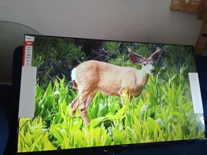 Vitron 55 Inch Smart Android TV