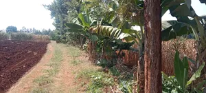 10 Acs Maragua Samar on Tarmac