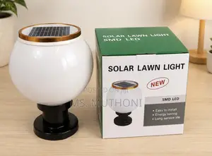 Decorative/ Lighting Automatic Globe-Shaped Solar Lawn Light 