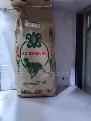 Duma 43 Maize Seeds 2kg