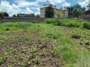 Opposite Ngong Racecourse and Near Jasmine Court.,1/4 an Acre Land