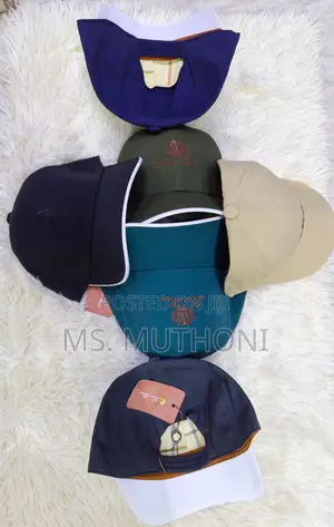 Premium Loro Piana Baseball Caps,