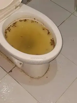 Get a Plumber Less Than 1 Hour