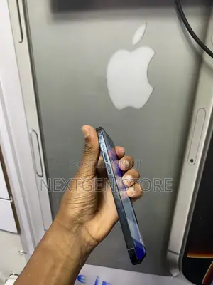 Apple iPhone 13 Pro Max 256 GB Green
