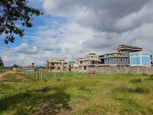 Prime 50x100 Plot for Sale in Ruiru Mugutha | 200m to Tarmac