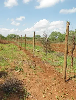Strong, Durable Effective Electric Fence With Wooden or Steel Posts