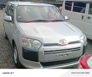 Toyota Probox 2020 Silver