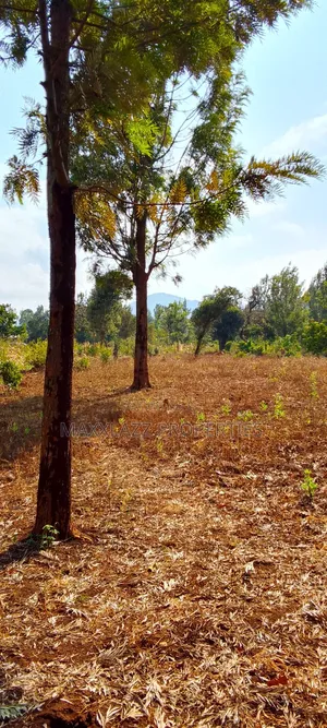 One Acre for Sale