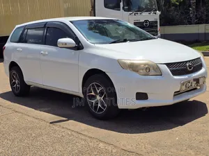 Toyota Corolla Fielder 2009 White