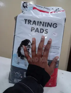 Training Pads for Dogs