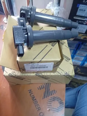 Ignition Coil 1nz