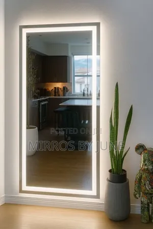 Launch Area/Living Room Mirror/Salon/ Restaurant Mirror