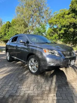 Lexus RX 2011 Gray