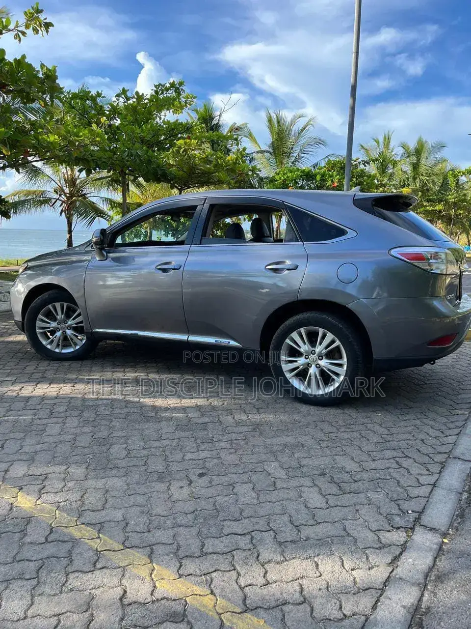 Lexus RX 2011 Gray