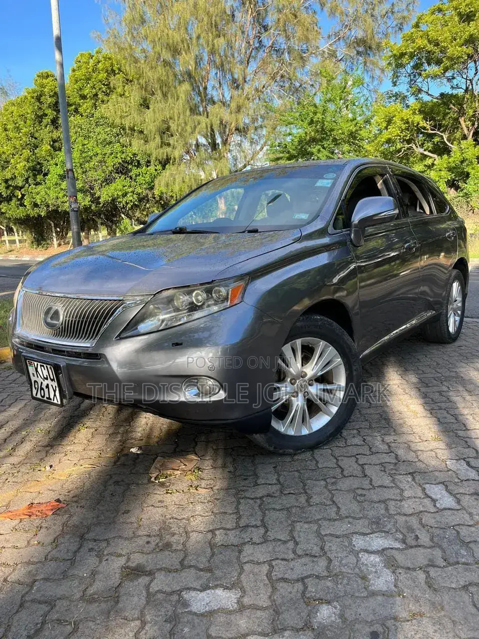 Lexus RX 2011 Gray