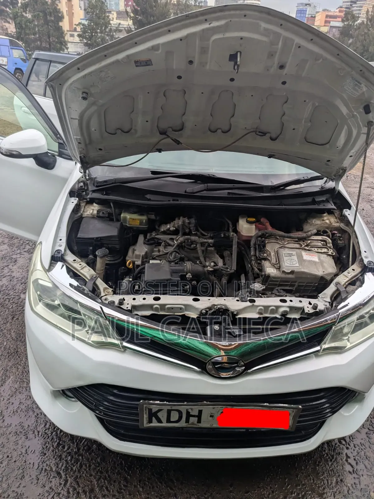 Toyota Corolla Fielder 2015 White