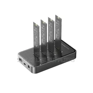 10Gbps 4 Bay M.2 NVME SATA Dual