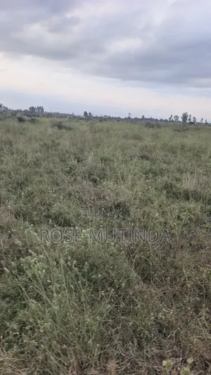 10acres at Sabaki