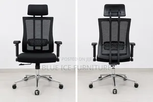 Orthopaedic Office With Supportive Back