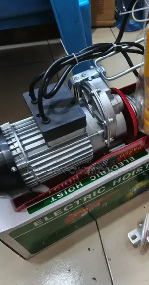 1tomne Electric Hoist-Best Brand