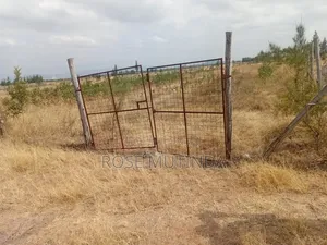 Half an Acre Wendano