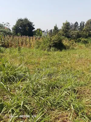 Lower Kabete Road