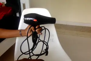 Ramtons Professional Hair Dryer RM/465